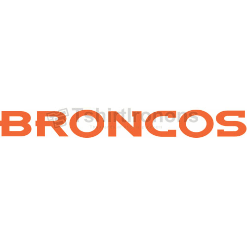 Denver Broncos T-shirts Iron On Transfers N504